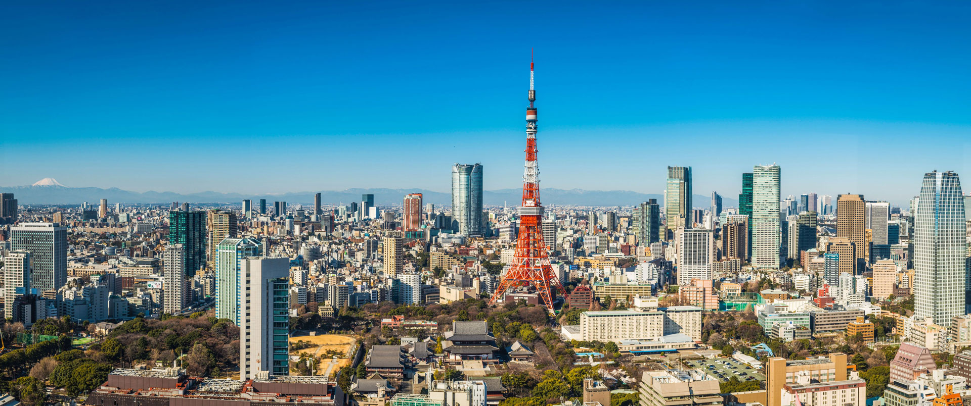 Japan Regulatory Services
