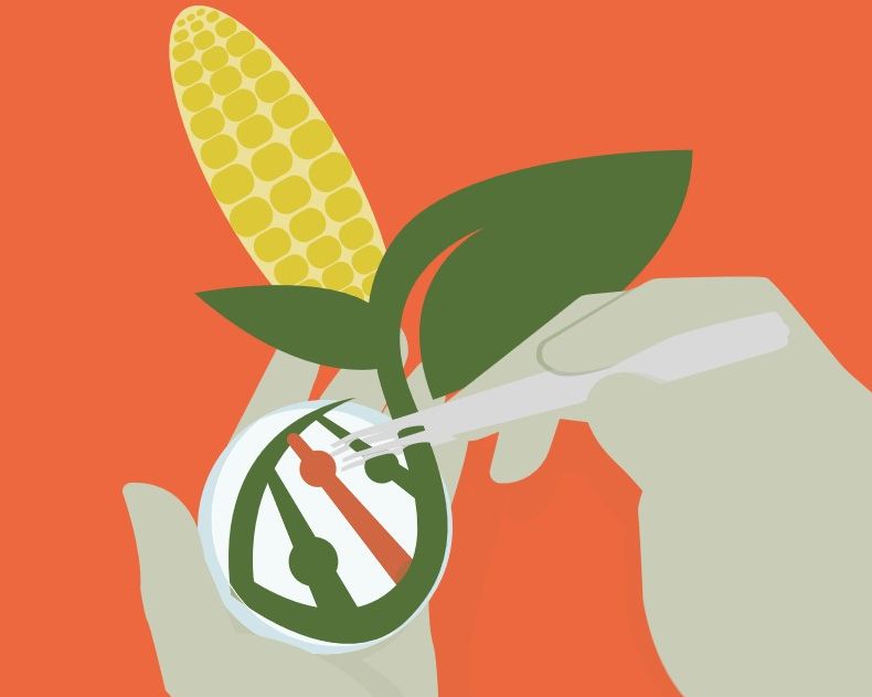 Downloads GMO Flyer