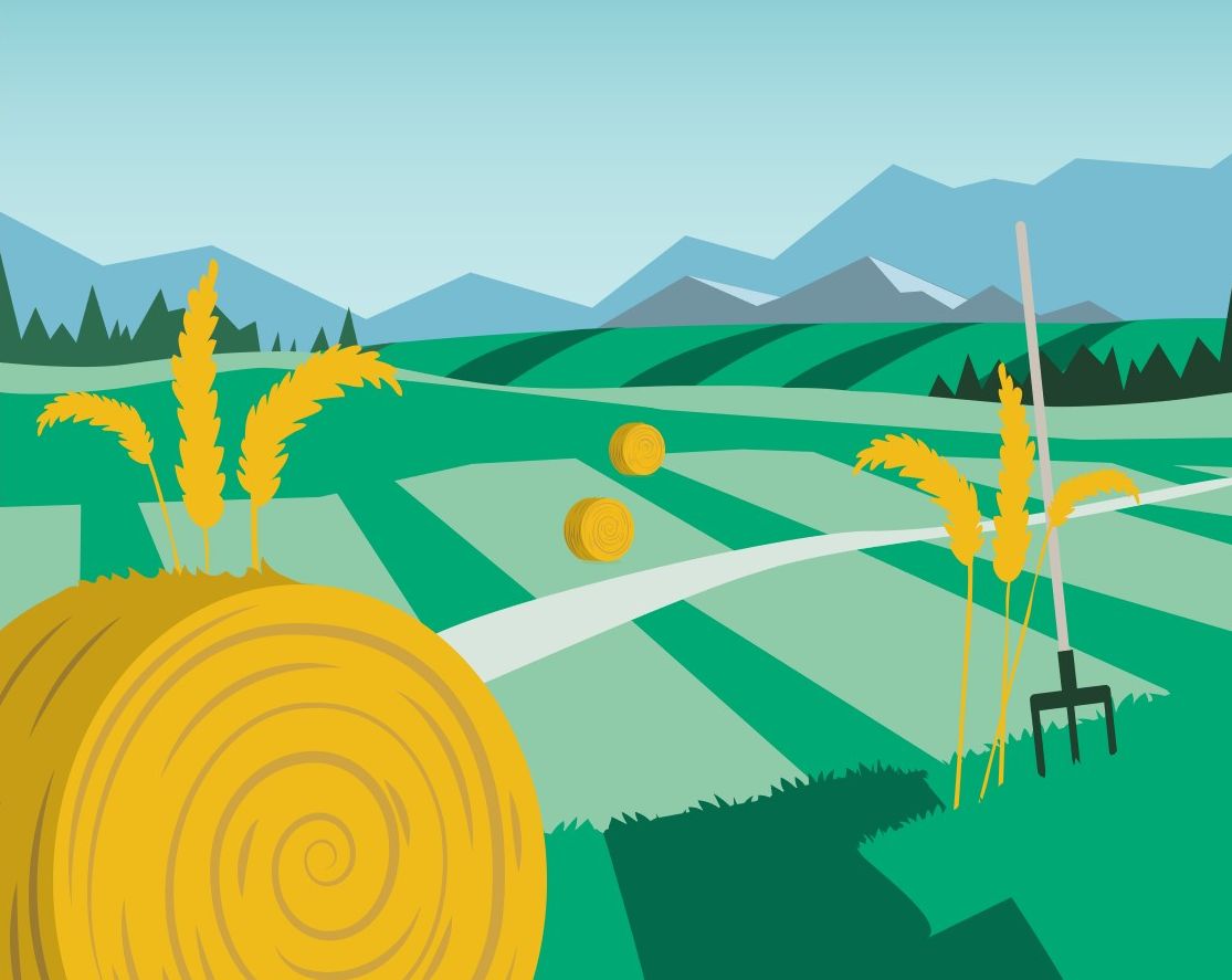 Downloads Flyer Agrochemicals