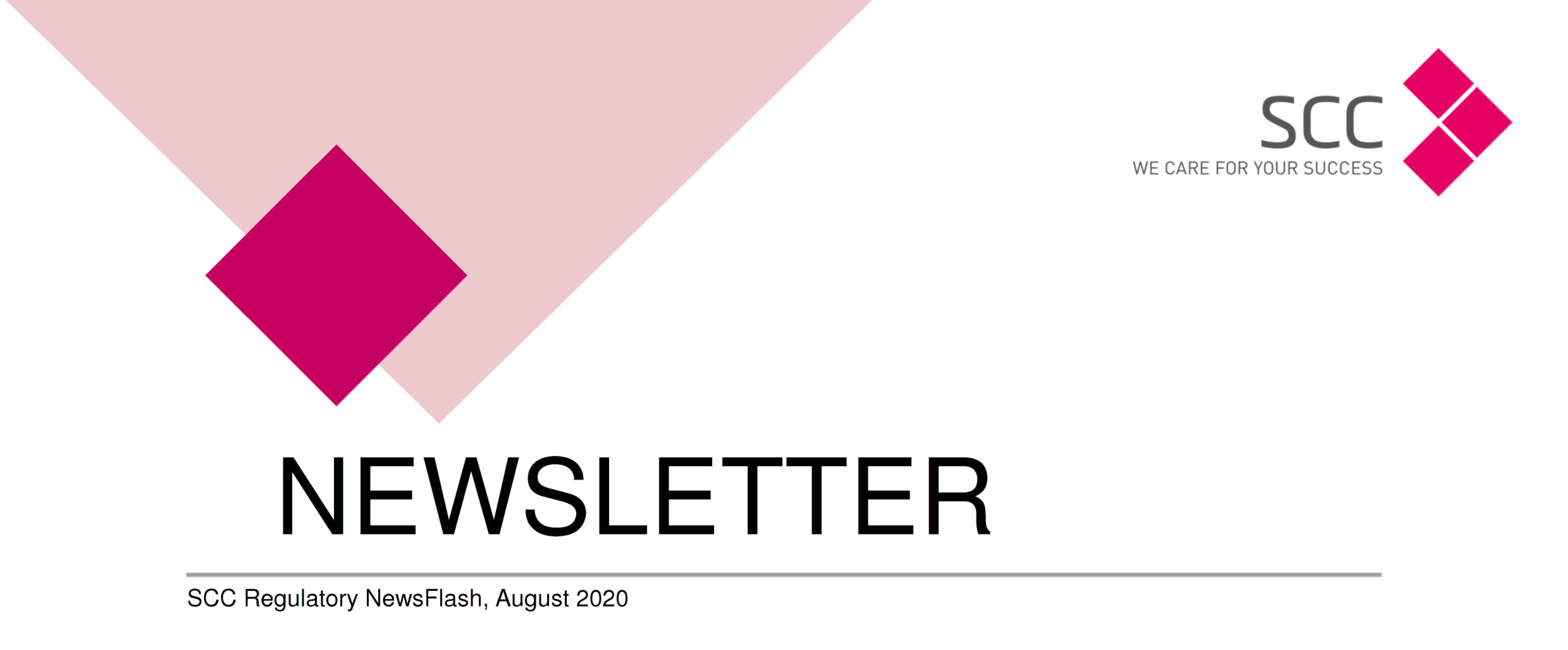 NL NewsFlash Letterhead 2020 08