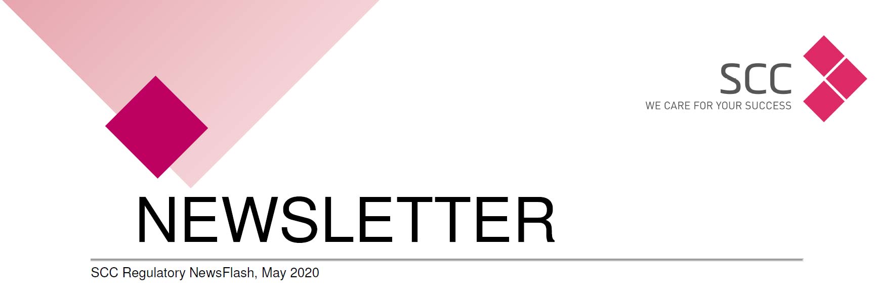 NL NewsFlash Letterhead 2020 05