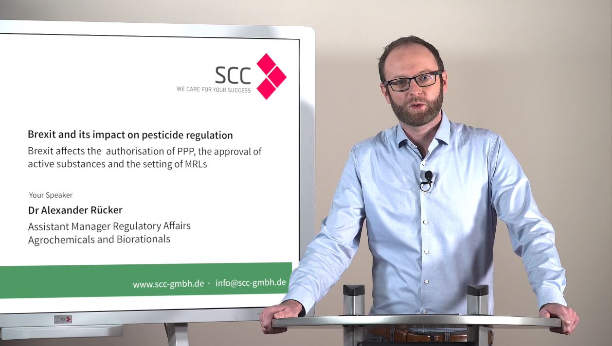 SCC video guidance on brexit