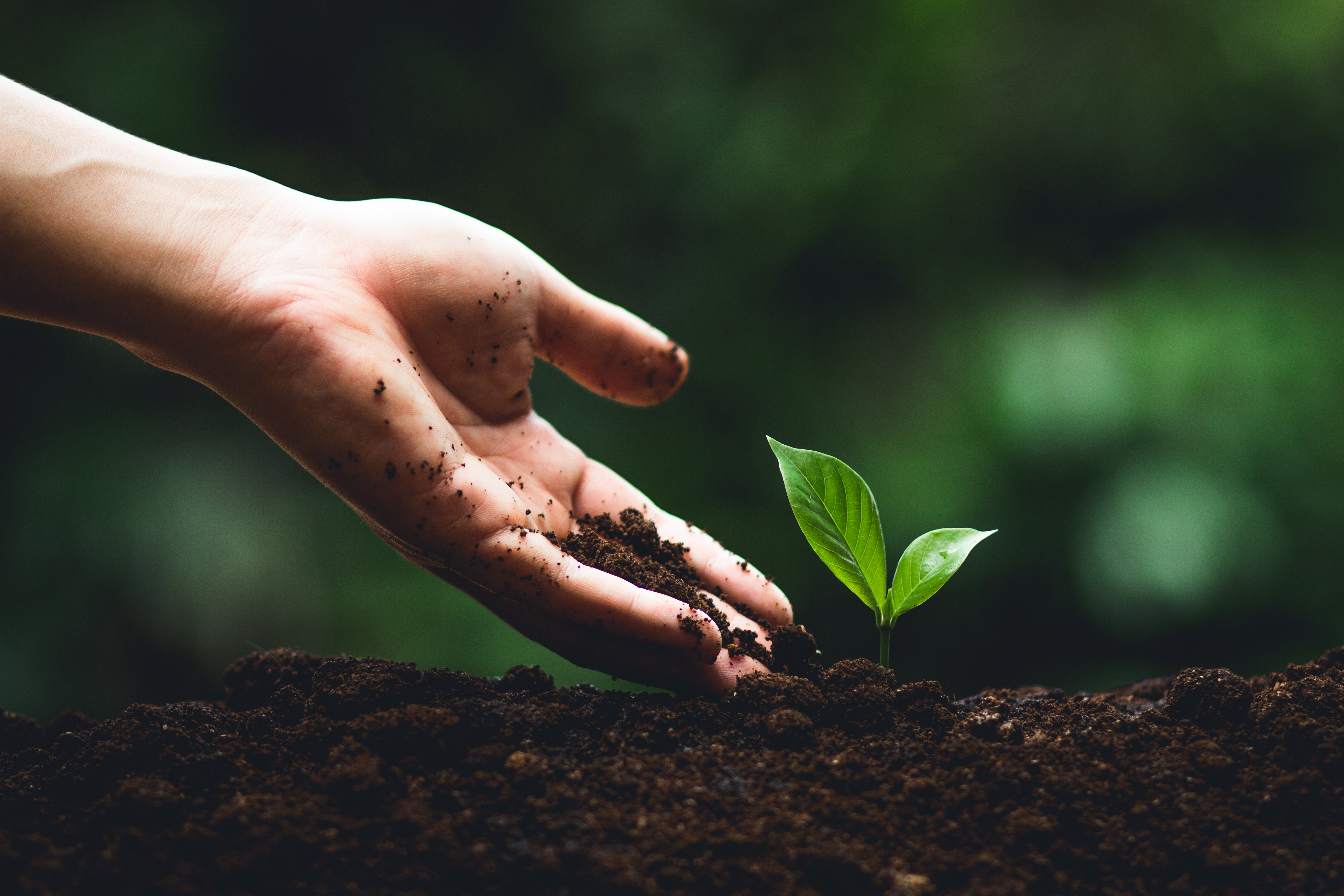 With increasing demand for sustainable alternatives to conventional chemicals in plant protection, biopesticides have been recently on the rise, gaining recognition from producers and farmers for their lower costs and environmental compatibility.